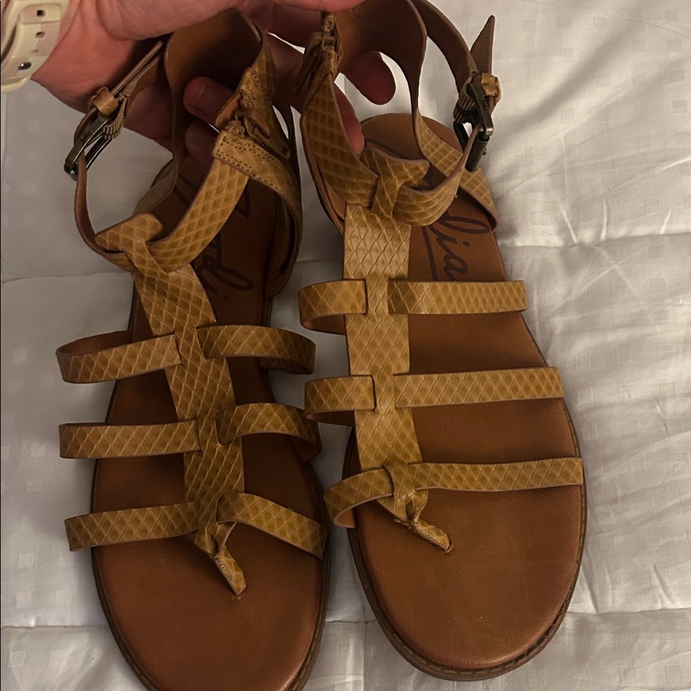 Zodiac Brown Strappy Sandals